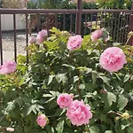 Rentfox - Apartamento Crikvenica