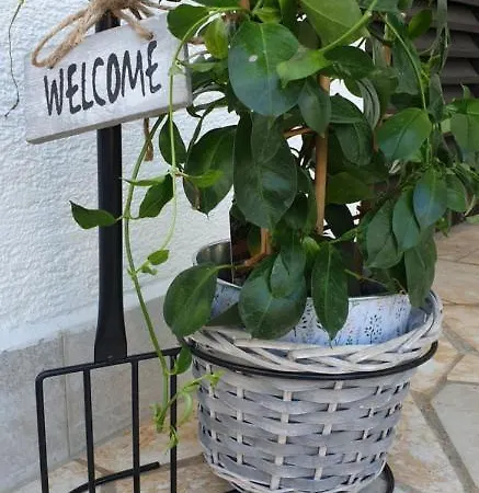Rentfox - Crikvenica