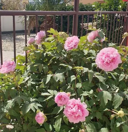 Rentfox - Apartmán Crikvenica