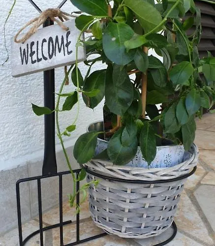 Rentfox - Crikvenica