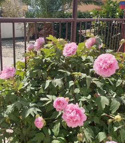 Rentfox - Lejlighed Crikvenica